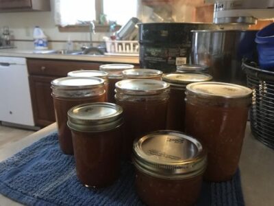 Rural America vs COVID-19 Image